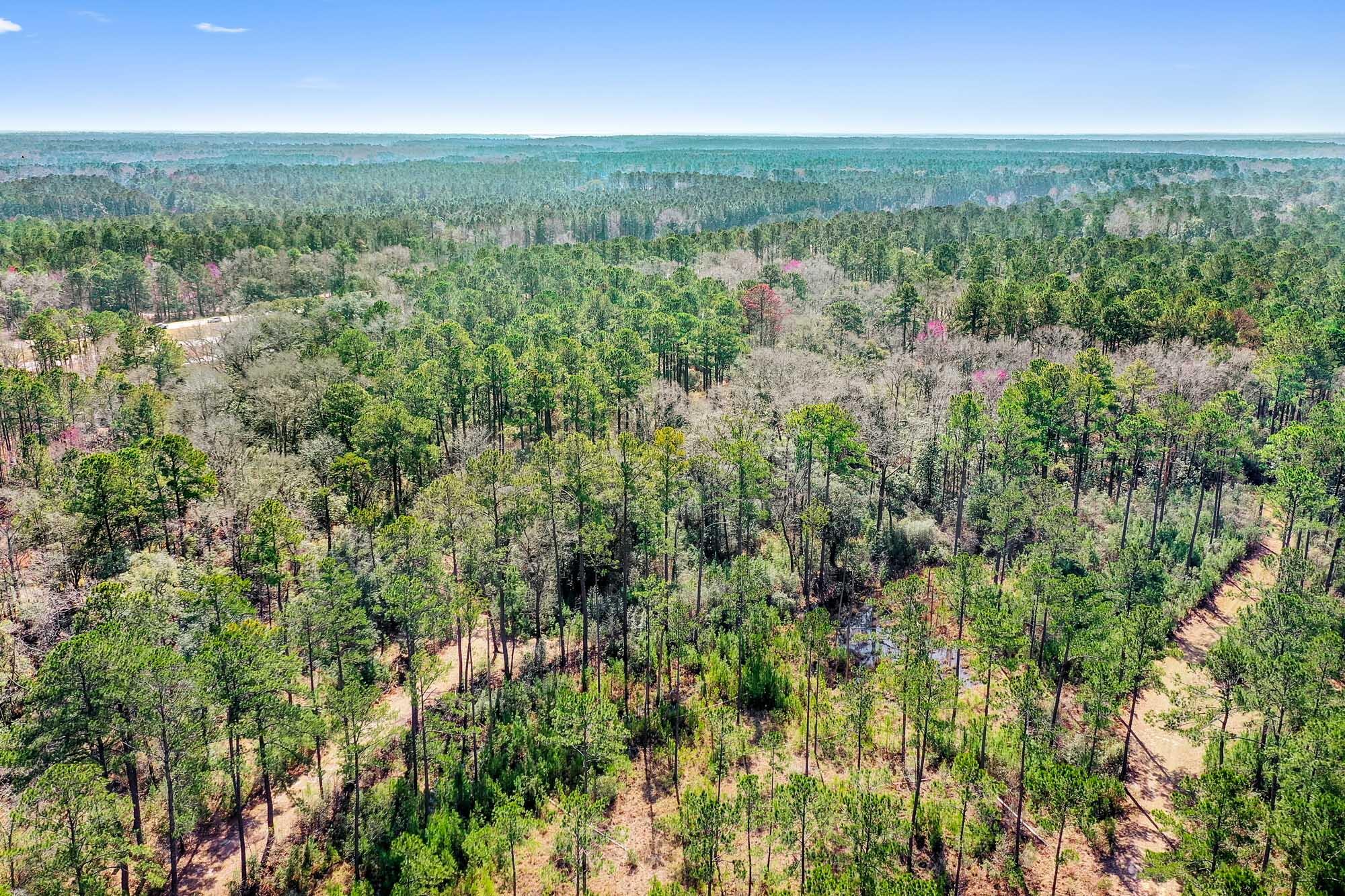 0 West Frontage Road Yemassee, SC 29945 - Photo 44 of 46 HFL_GREGORIE NECK-43