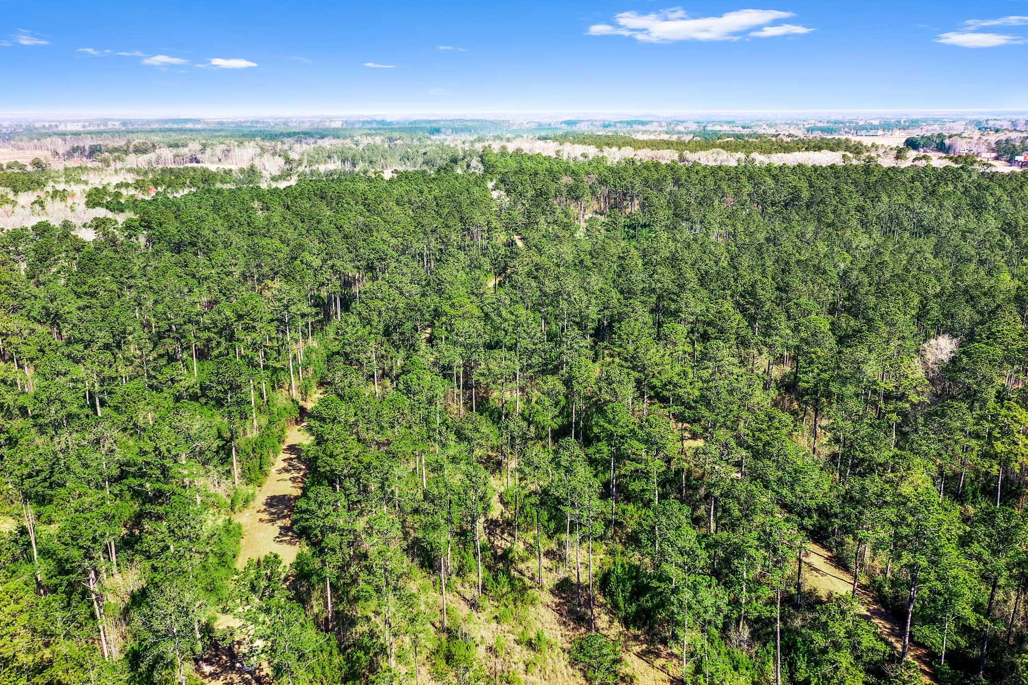 0 West Frontage Road Yemassee, SC 29945 - Photo 46 of 46 HFL_GREGORIE NECK-45