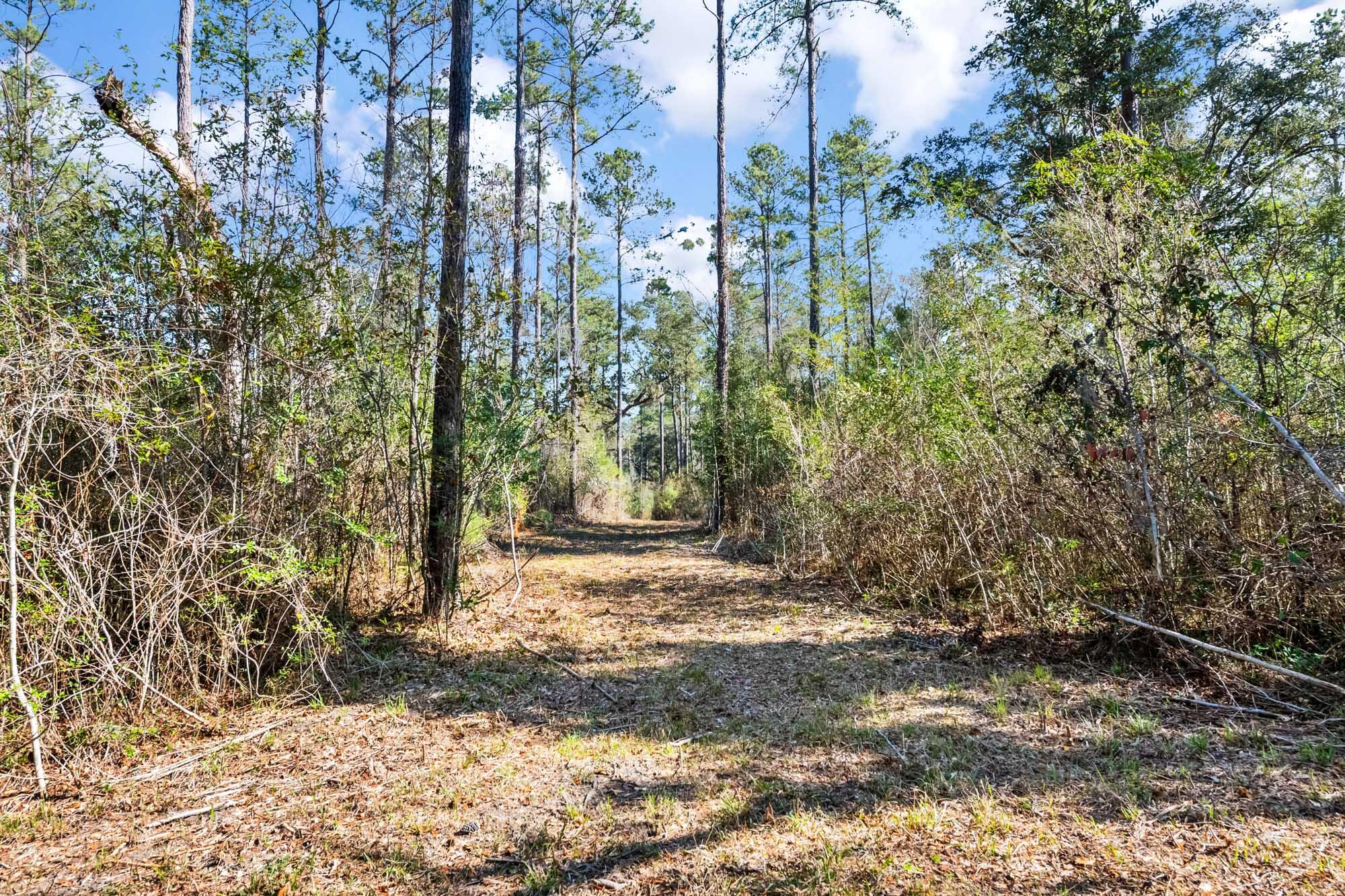 0 West Frontage Road Yemassee, SC 29945 - Photo 8 of 46 HFL_GREGORIE NECK-2