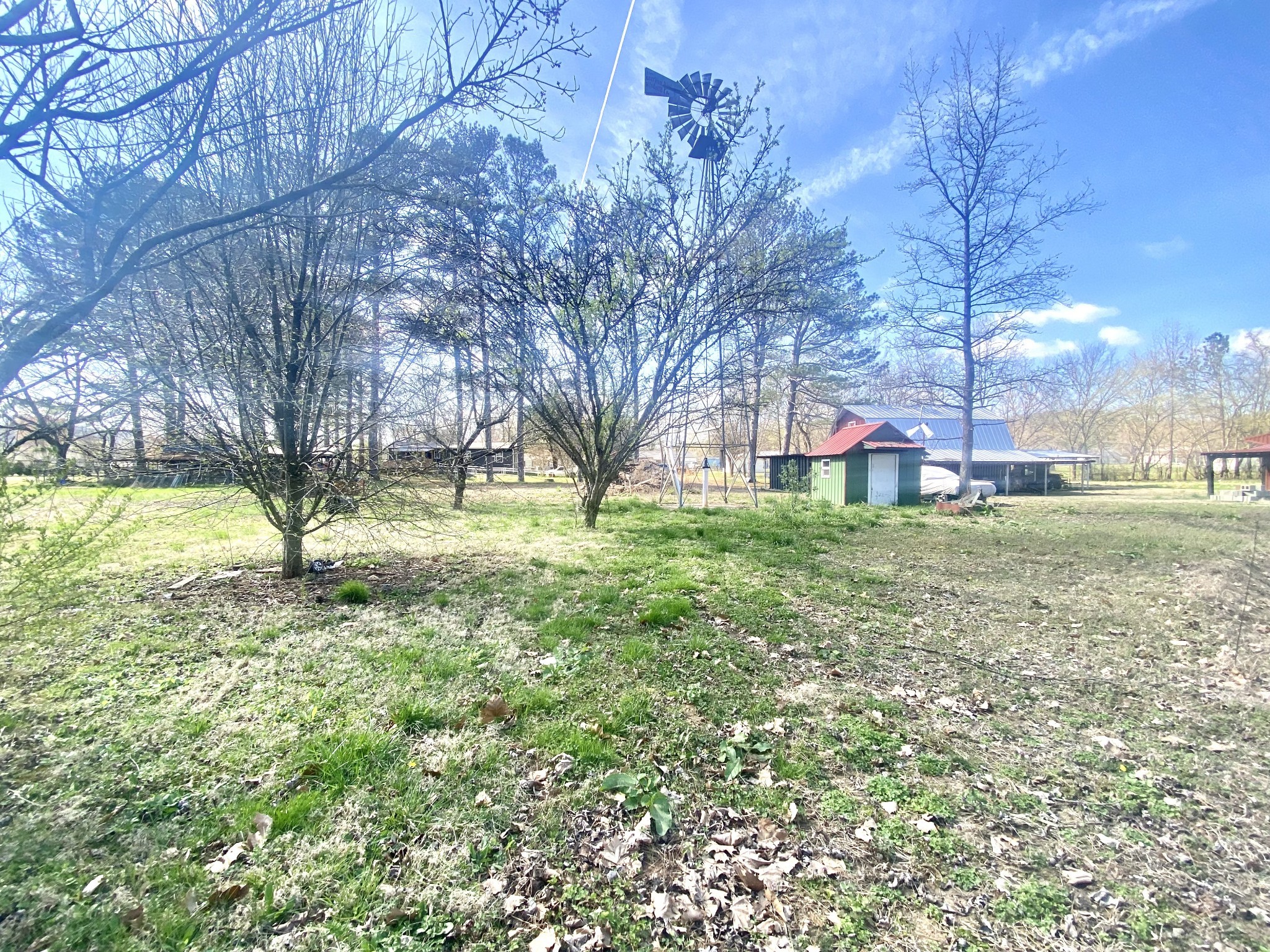 200 Brown Town Road Waverly, TN 37185 - Photo 16 of 27 a view of a yard with a tree