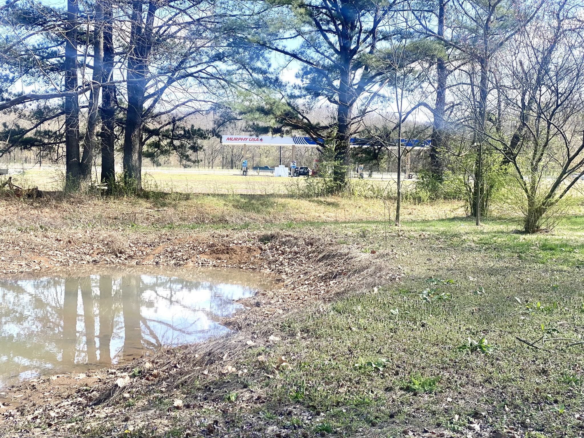 200 Brown Town Road Waverly, TN 37185 - Photo 19 of 27 a view of a yard with a tree