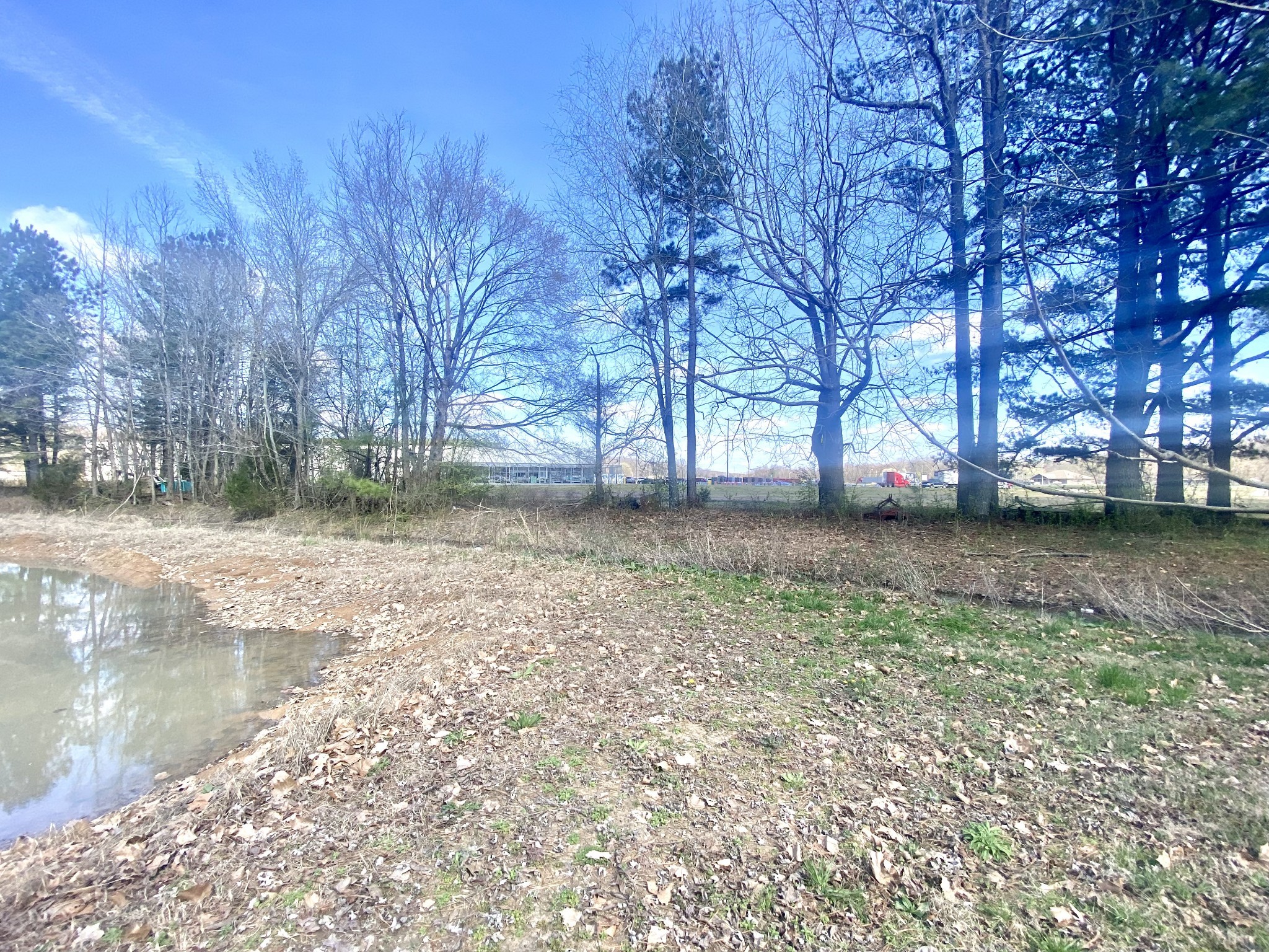 200 Brown Town Road Waverly, TN 37185 - Photo 21 of 27 a view of yard with trees