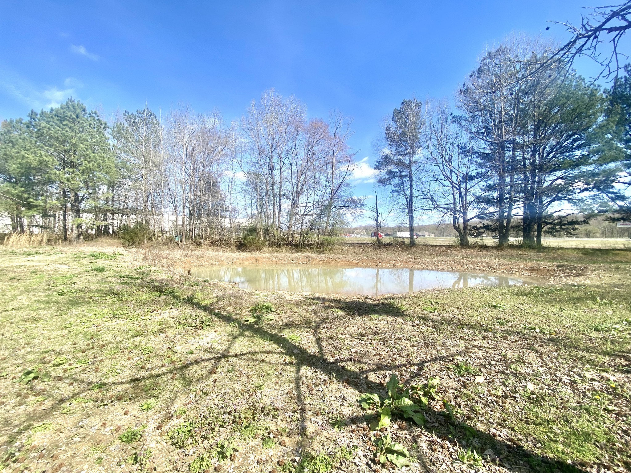 200 Brown Town Road Waverly, TN 37185 - Photo 23 of 27 a view of a yard with swimming pool and trees