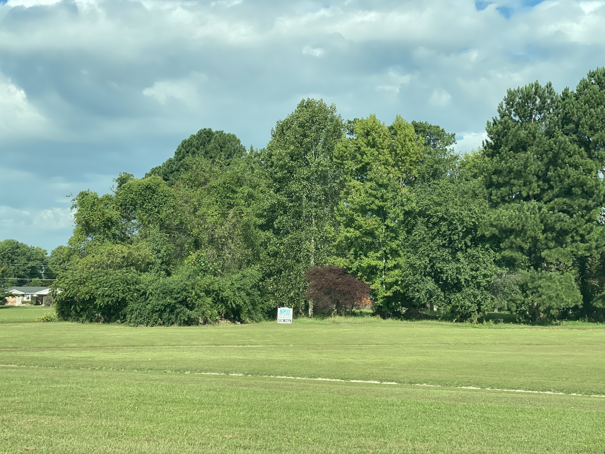 200 Brown Town Road Waverly, TN 37185 - Photo 7 of 27 a big yard with lots of green space