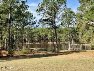 $975,000 | 3947 Purvis Columbia Road, Purvis, MS 39475