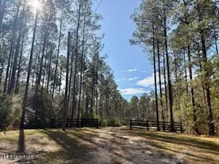 $975,000 | 3947 Purvis Columbia Road, Purvis, MS 39475