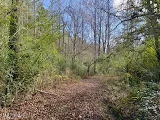 $975,000 | 3947 Purvis Columbia Road, Purvis, MS 39475