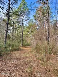 $975,000 | 3947 Purvis Columbia Road, Purvis, MS 39475