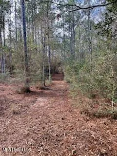 $975,000 | 3947 Purvis Columbia Road, Purvis, MS 39475