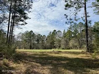 $975,000 | 3947 Purvis Columbia Road, Purvis, MS 39475