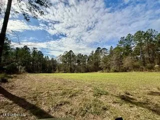 $975,000 | 3947 Purvis Columbia Road, Purvis, MS 39475