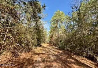 $975,000 | 3947 Purvis Columbia Road, Purvis, MS 39475