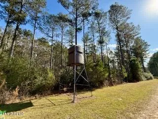 $975,000 | 3947 Purvis Columbia Road, Purvis, MS 39475