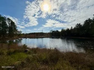 $975,000 | 3947 Purvis Columbia Road, Purvis, MS 39475