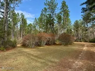 $975,000 | 3947 Purvis Columbia Road, Purvis, MS 39475