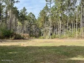 $975,000 | 3947 Purvis Columbia Road, Purvis, MS 39475