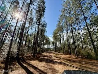 $975,000 | 3947 Purvis Columbia Road, Purvis, MS 39475