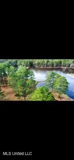 $975,000 | 3947 Purvis Columbia Road, Purvis, MS 39475