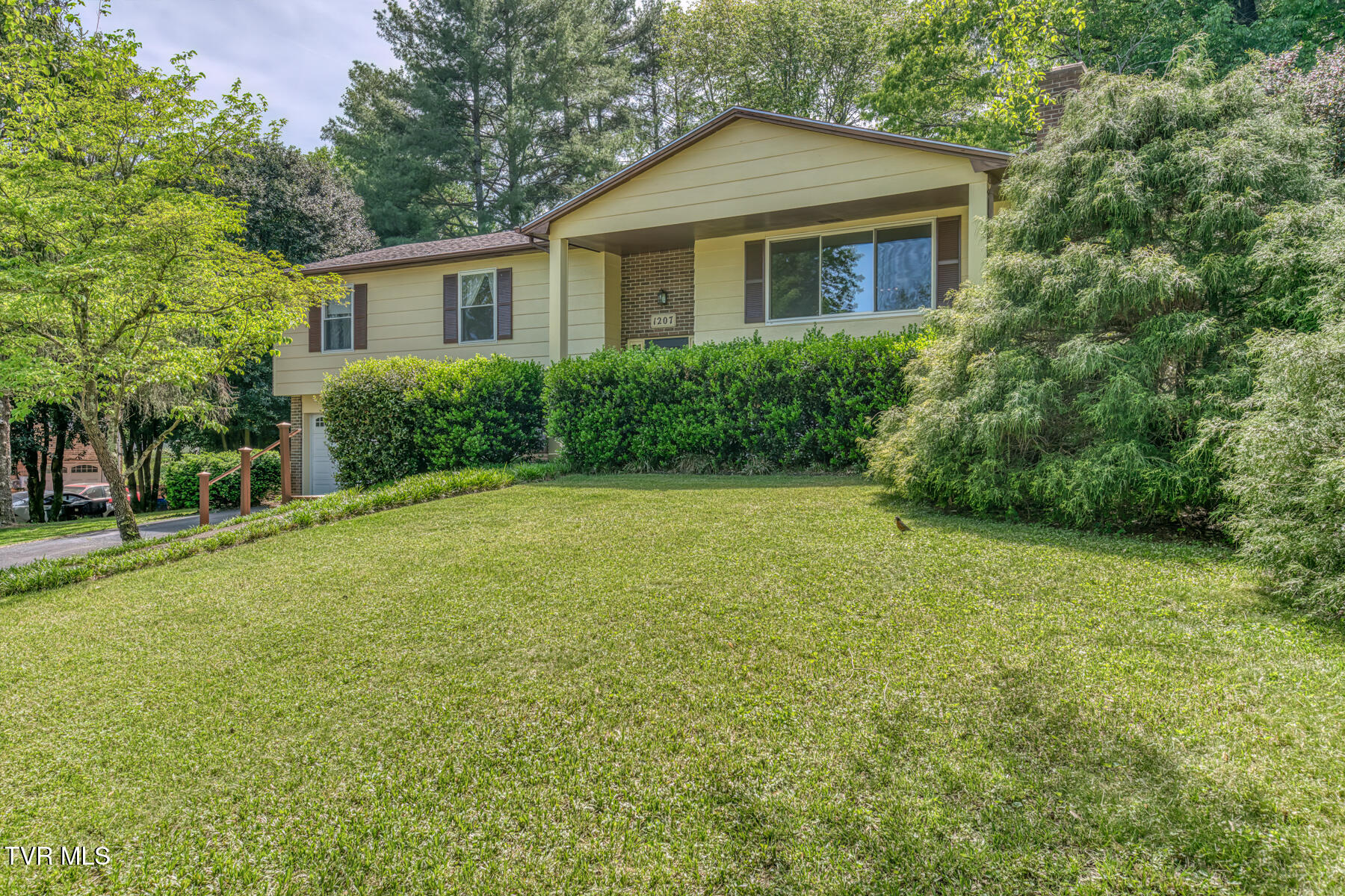 1207 Kevin Lane Greeneville, TN 37745 - Photo 2 of 101 1207 Kevin Ln-Ext1