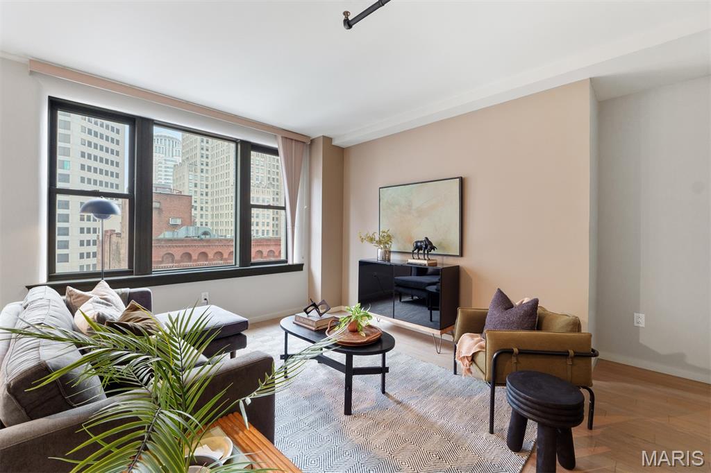 915 Olive Street, Unit 910 St. Louis, MO 63101 - Photo 5 of 61