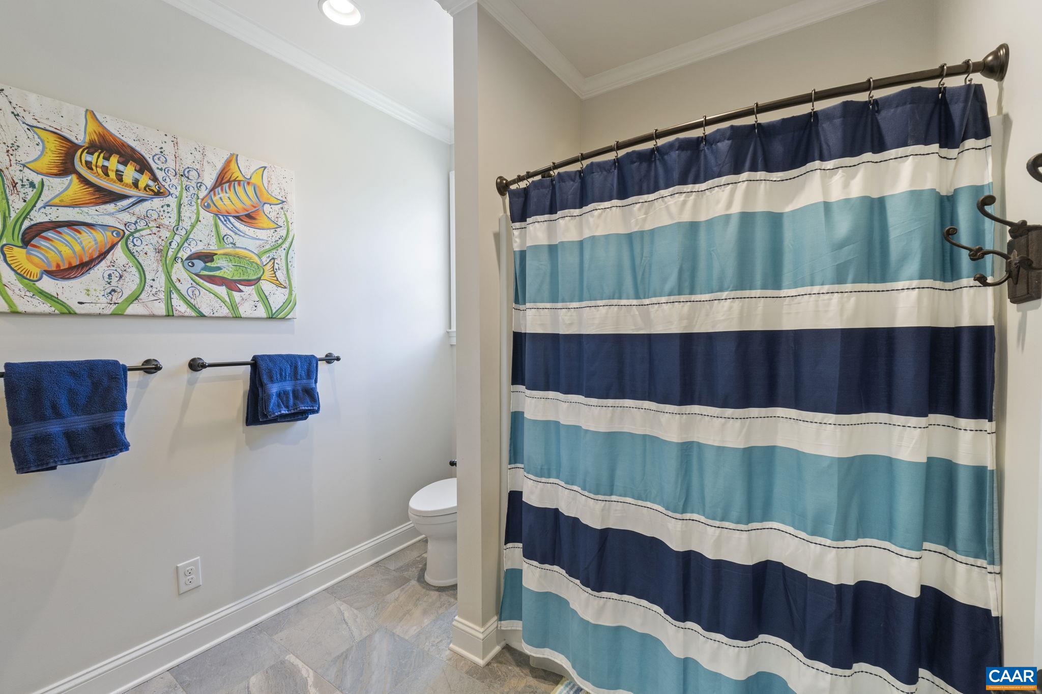 269 Devon Drive Ruckersville, VA 22968 - Photo 27 of 51 a bathroom with a bathtub and a shower