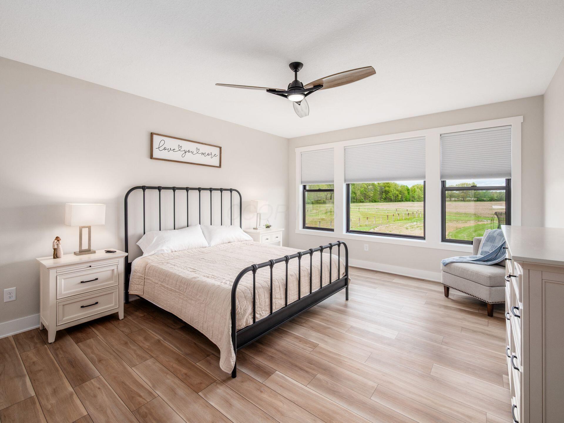 11042 Hinton Mill Road Marysville, OH 43040 - Photo 19 of 64 1st Floor Owner's Suite