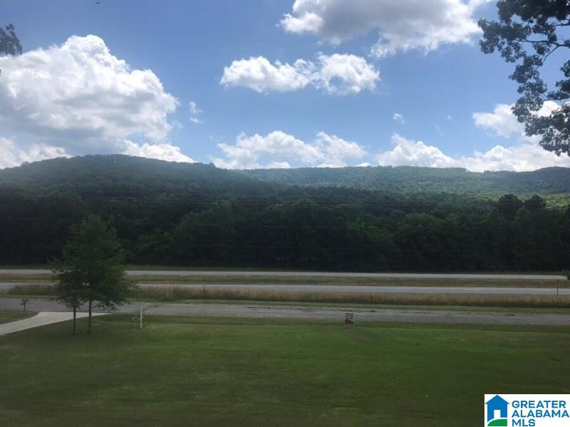 15701 Remlap Drive Remlap, AL 35133 - Photo 2 of 42