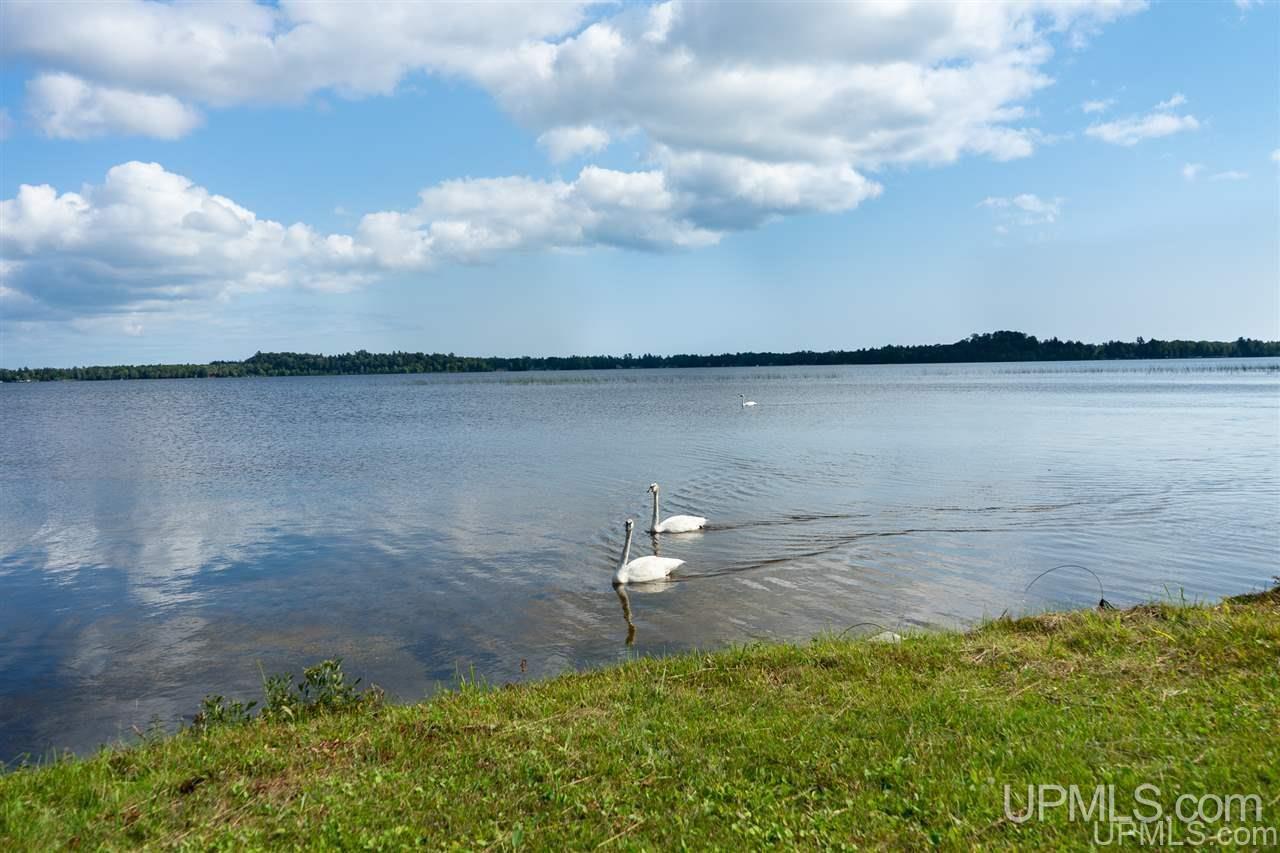 3193 West Gulliver Lake Road Gulliver, MI 49840 - Photo 28 of 28