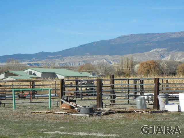 1628 H 75th Road Delta, CO 81416 - Photo 4 of 31 Gallery Image 4