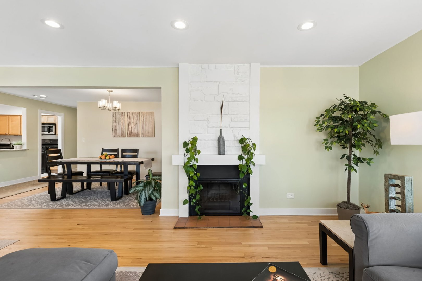 1333 Maple Avenue, Unit 5D Evanston, IL 60201 - Photo 5 of 31