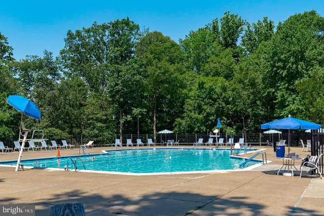 a view of a park with bench and trees