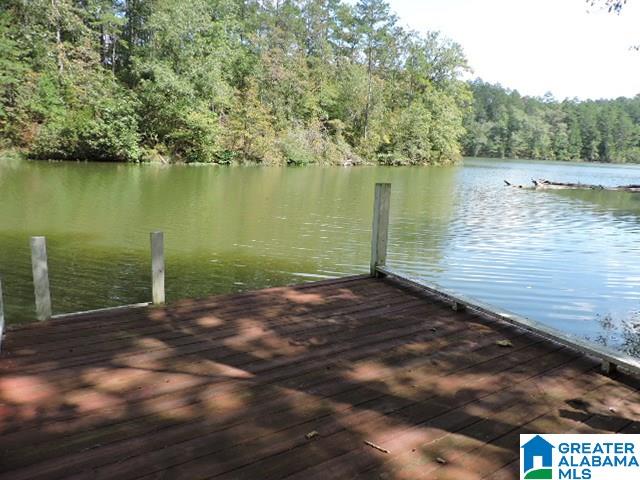329 Lost Creek Road Delta, AL 36258 - Photo 17 of 17