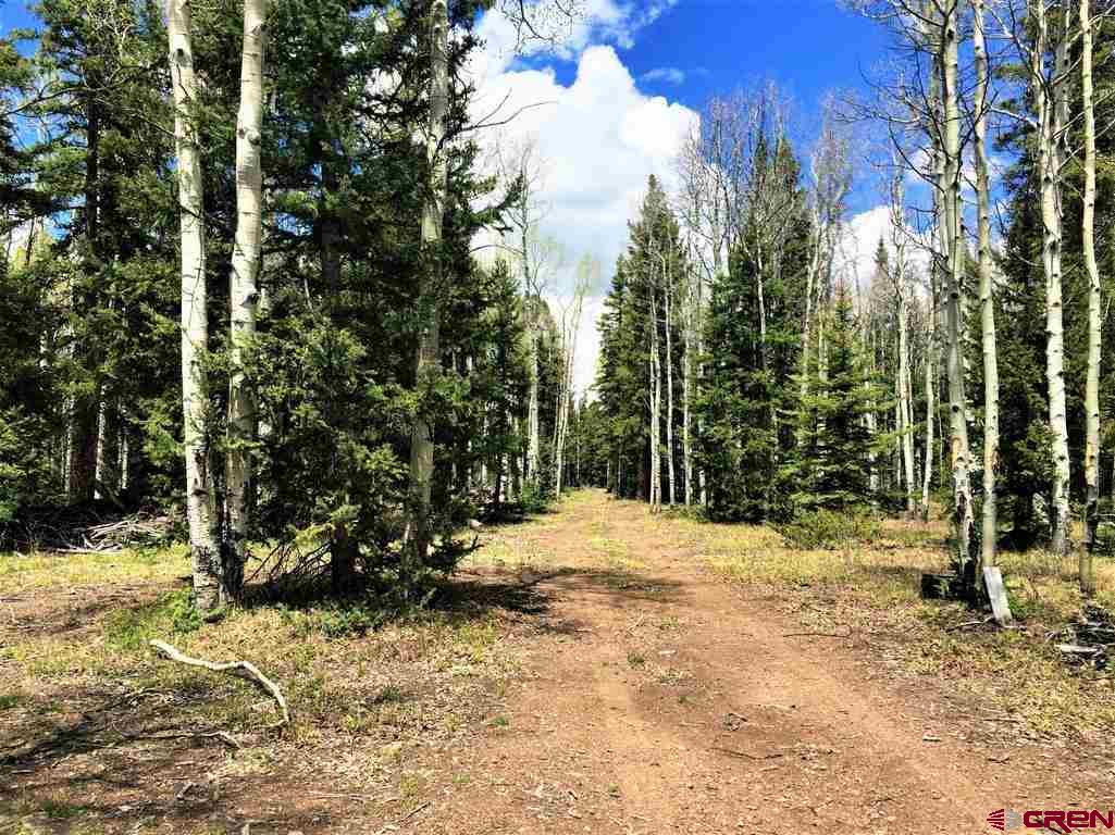 1901 Oso Creek Road Powderhorn, CO 81243 - Photo 2 of 10 Gallery Image 2