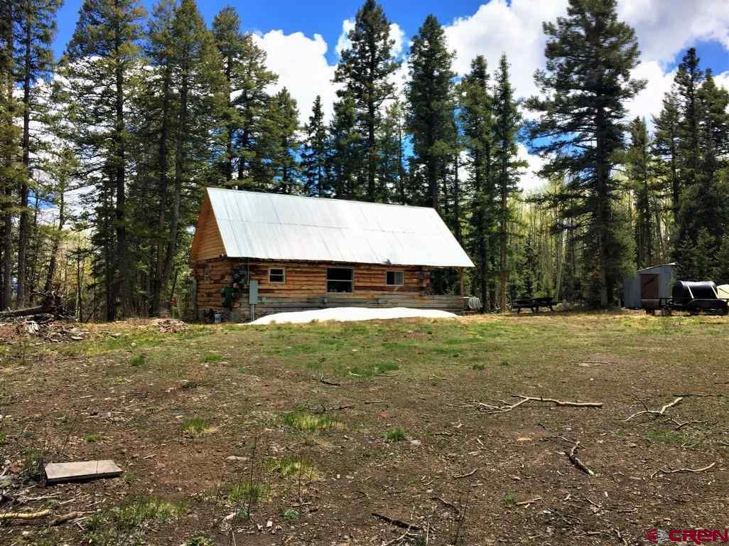 1901 Oso Creek Road Powderhorn, CO 81243 - Photo 3 of 10 Gallery Image 3