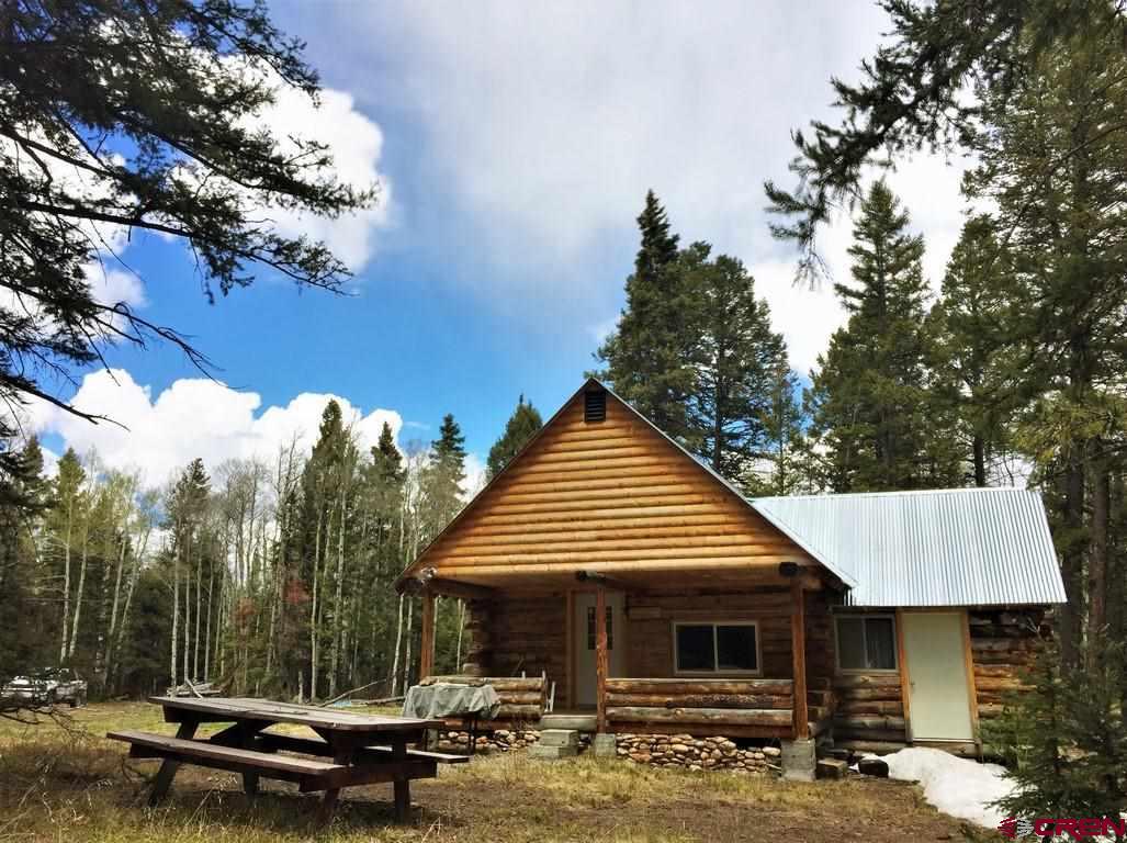 1901 Oso Creek Road Powderhorn, CO 81243 - Photo 4 of 10 Gallery Image 4