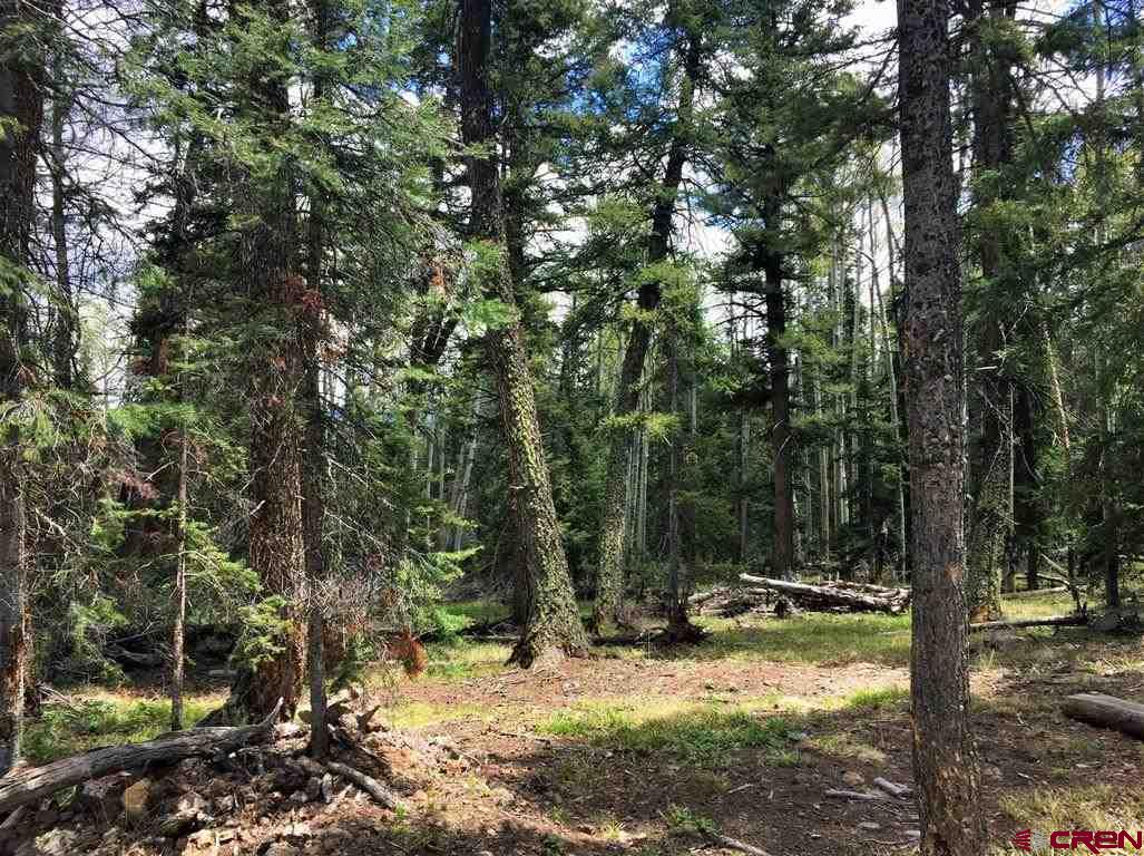 1901 Oso Creek Road Powderhorn, CO 81243 - Photo 5 of 10 Gallery Image 5