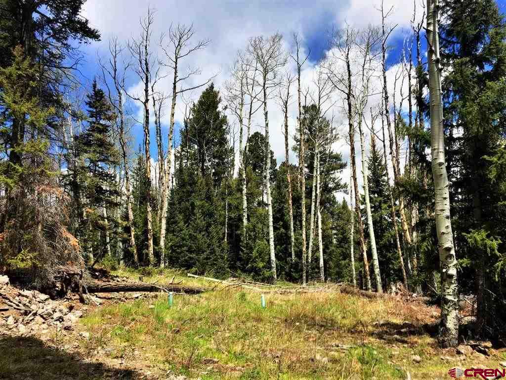 1901 Oso Creek Road Powderhorn, CO 81243 - Photo 6 of 10 Gallery Image 6