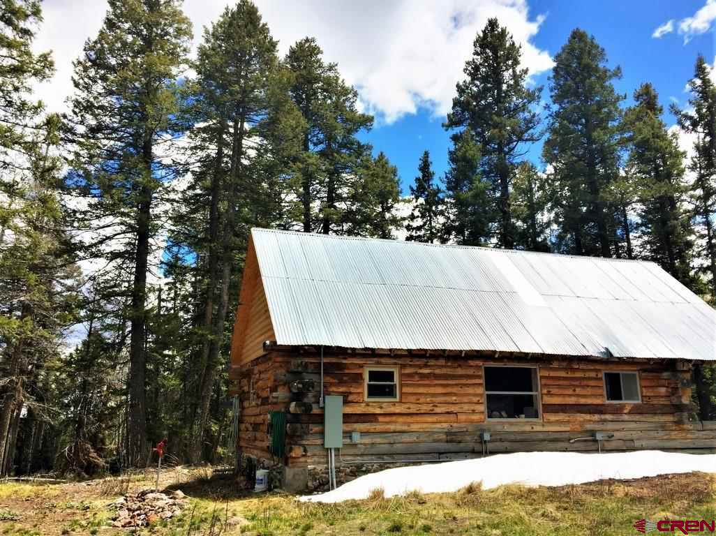 1901 Oso Creek Road Powderhorn, CO 81243 - Photo 8 of 10 Gallery Image 8