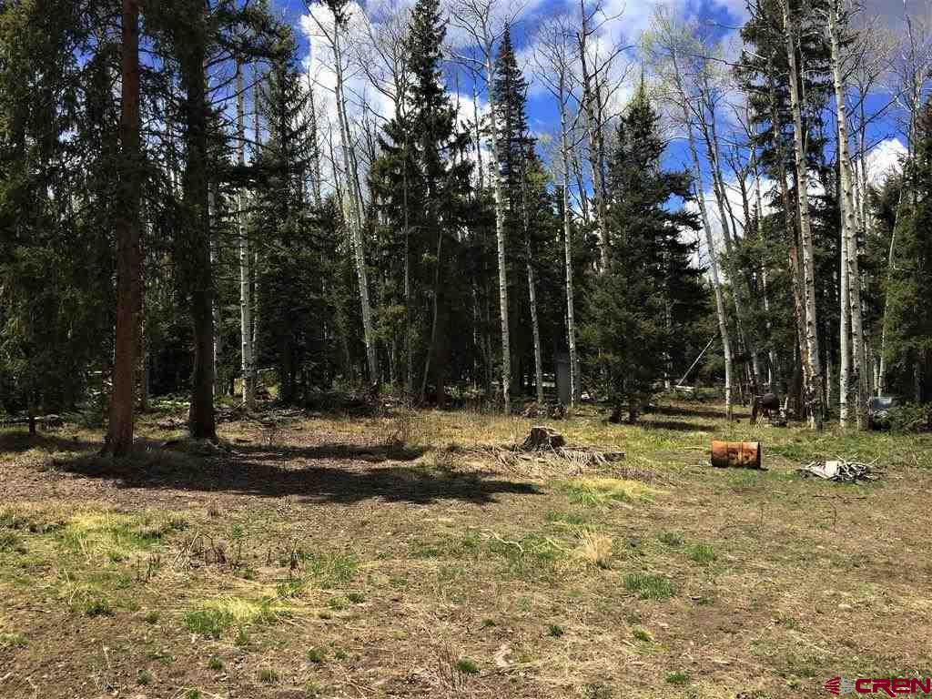 1901 Oso Creek Road Powderhorn, CO 81243 - Photo 10 of 10 Gallery Image 10