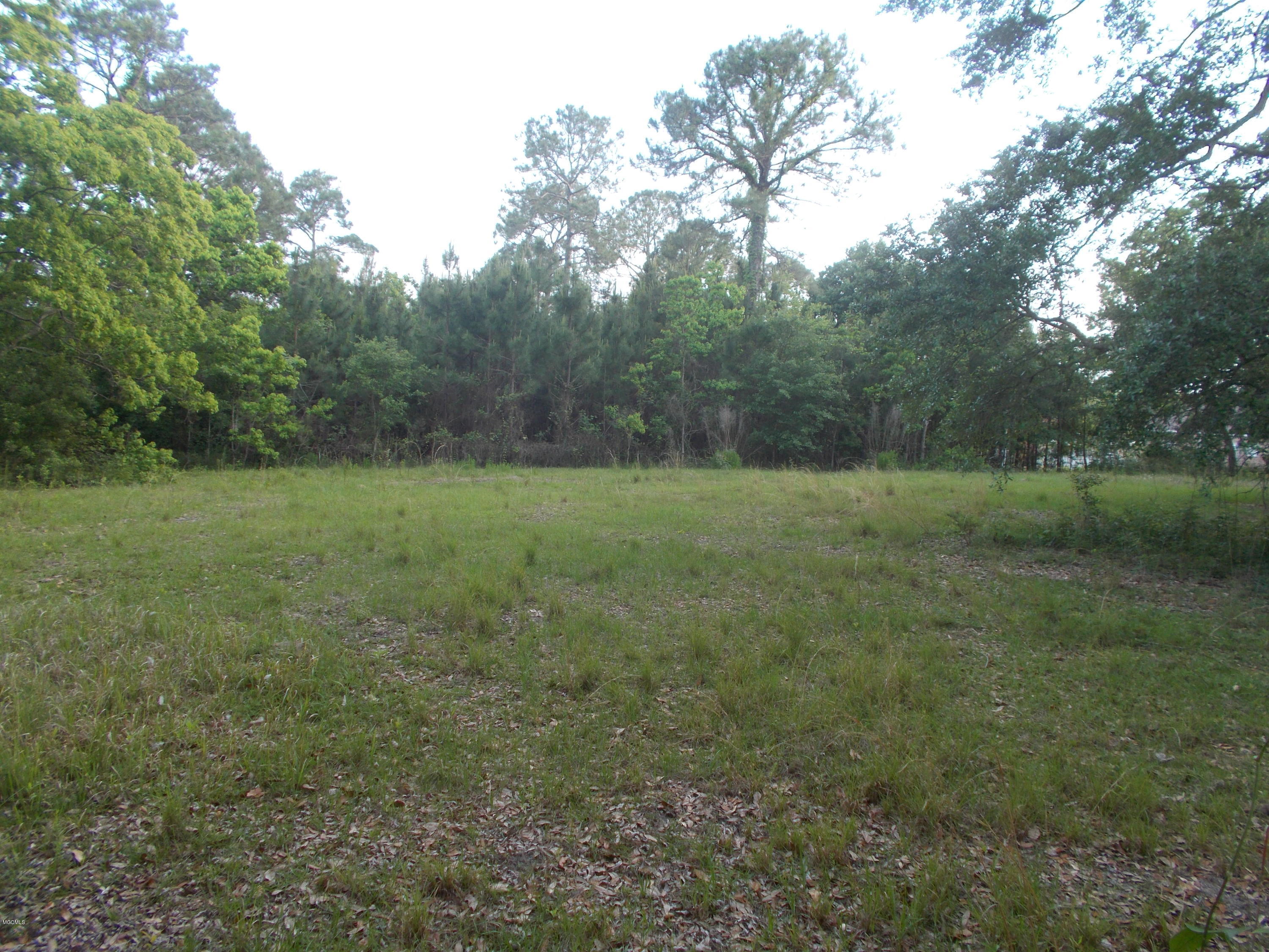 15301 Big Ridge Road Biloxi, MS 39532 - Photo 7 of 20 Fenced Pasture Area