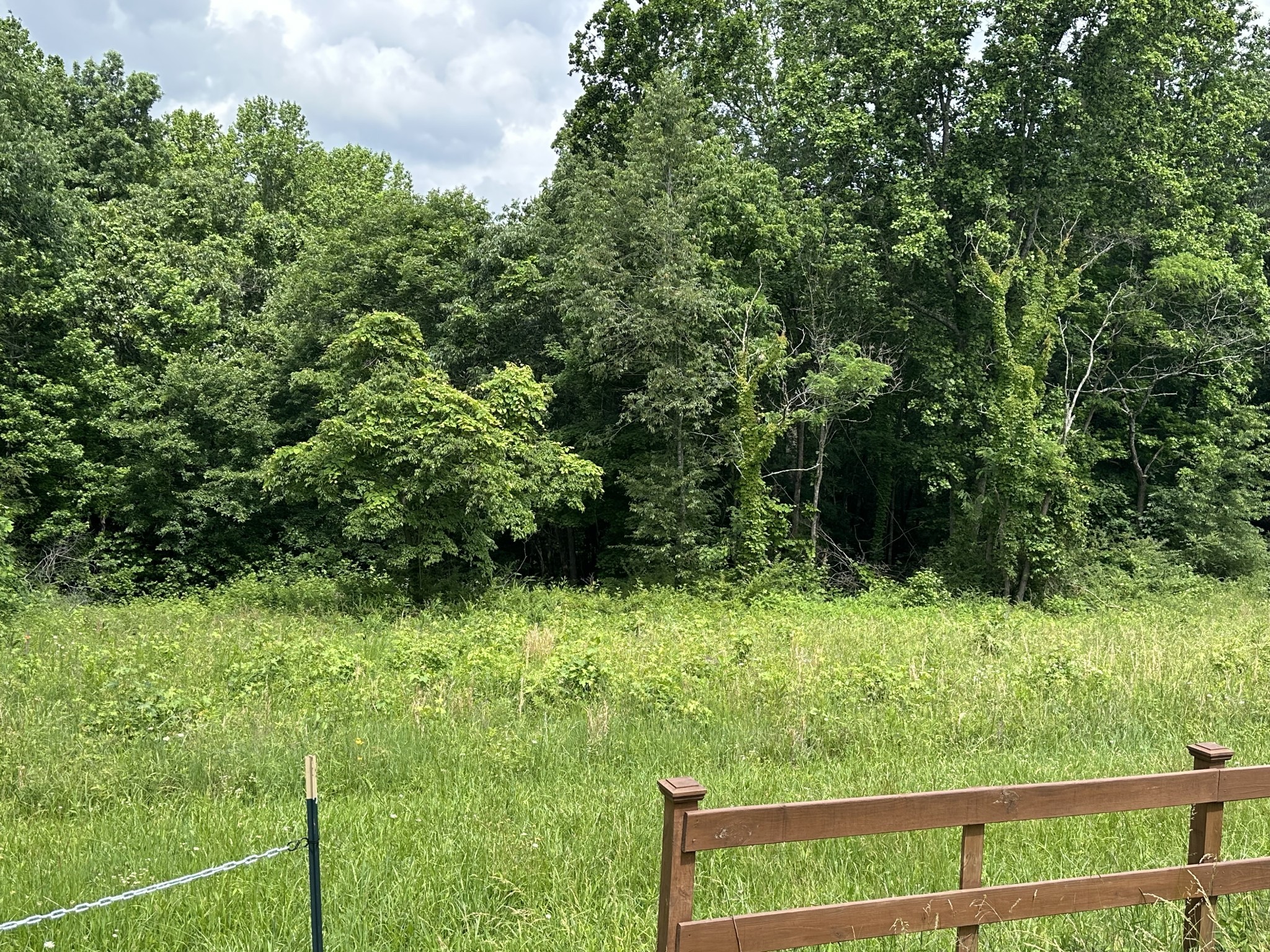 2812 Union Hill Road Joelton, TN 37080 - Photo 2 of 13 a view of a yard with wooden fence