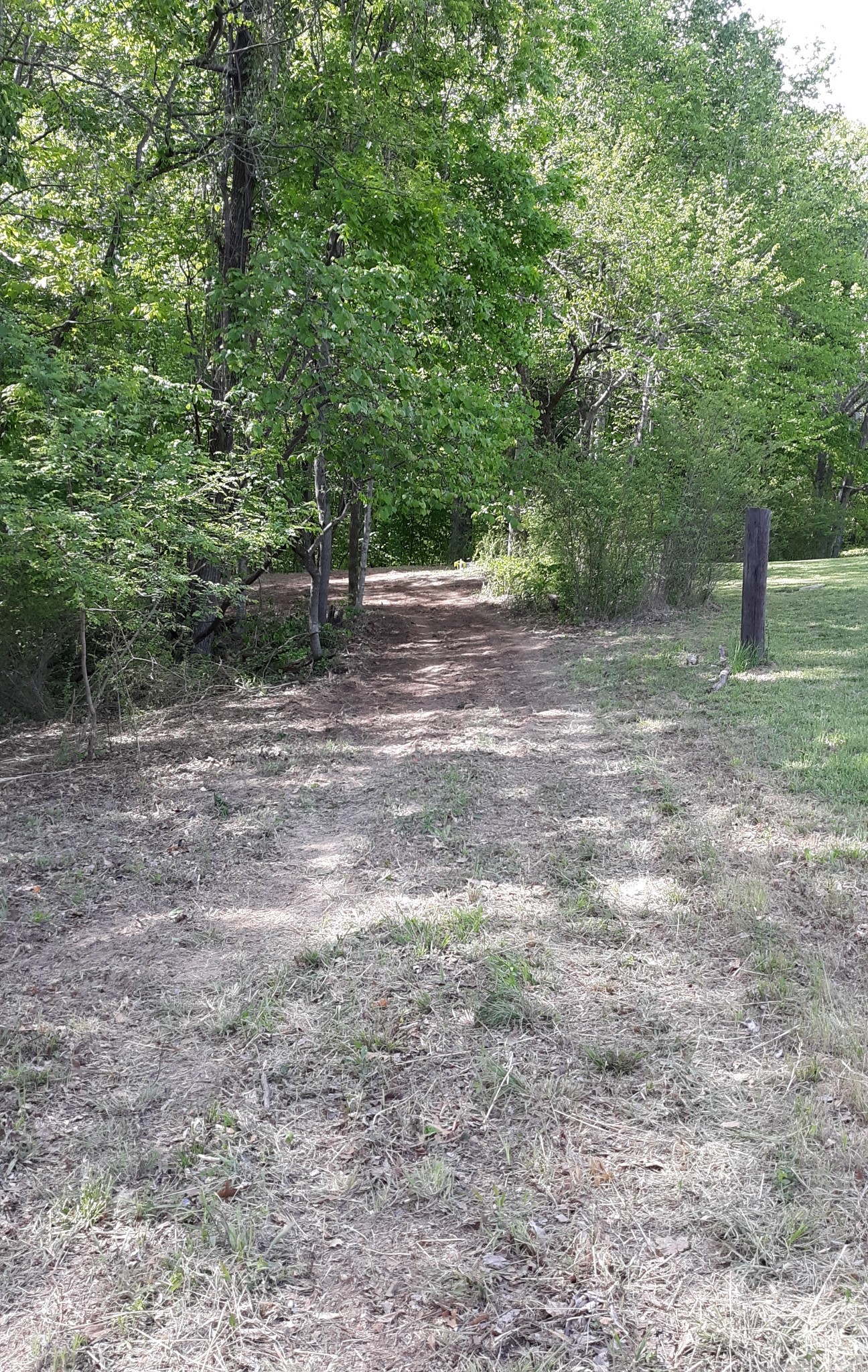 2812 Union Hill Road Joelton, TN 37080 - Photo 9 of 13 a view of a trees with a trees