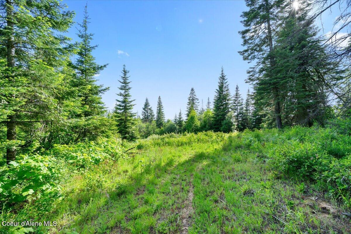 17378 North Freddi Road Rathdrum, ID 83858 - Photo 70 of 83 70-View