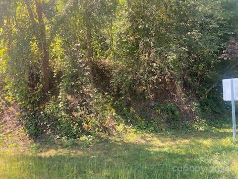 0 Jay Clark Road, Unit 2 Morganton, NC 28655 - Photo 4 of 4 Gallery Image 4