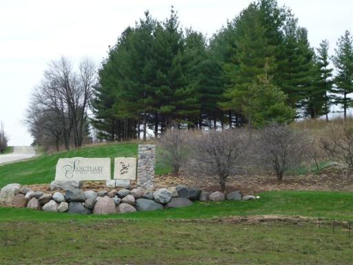 a garden view with plants and trees