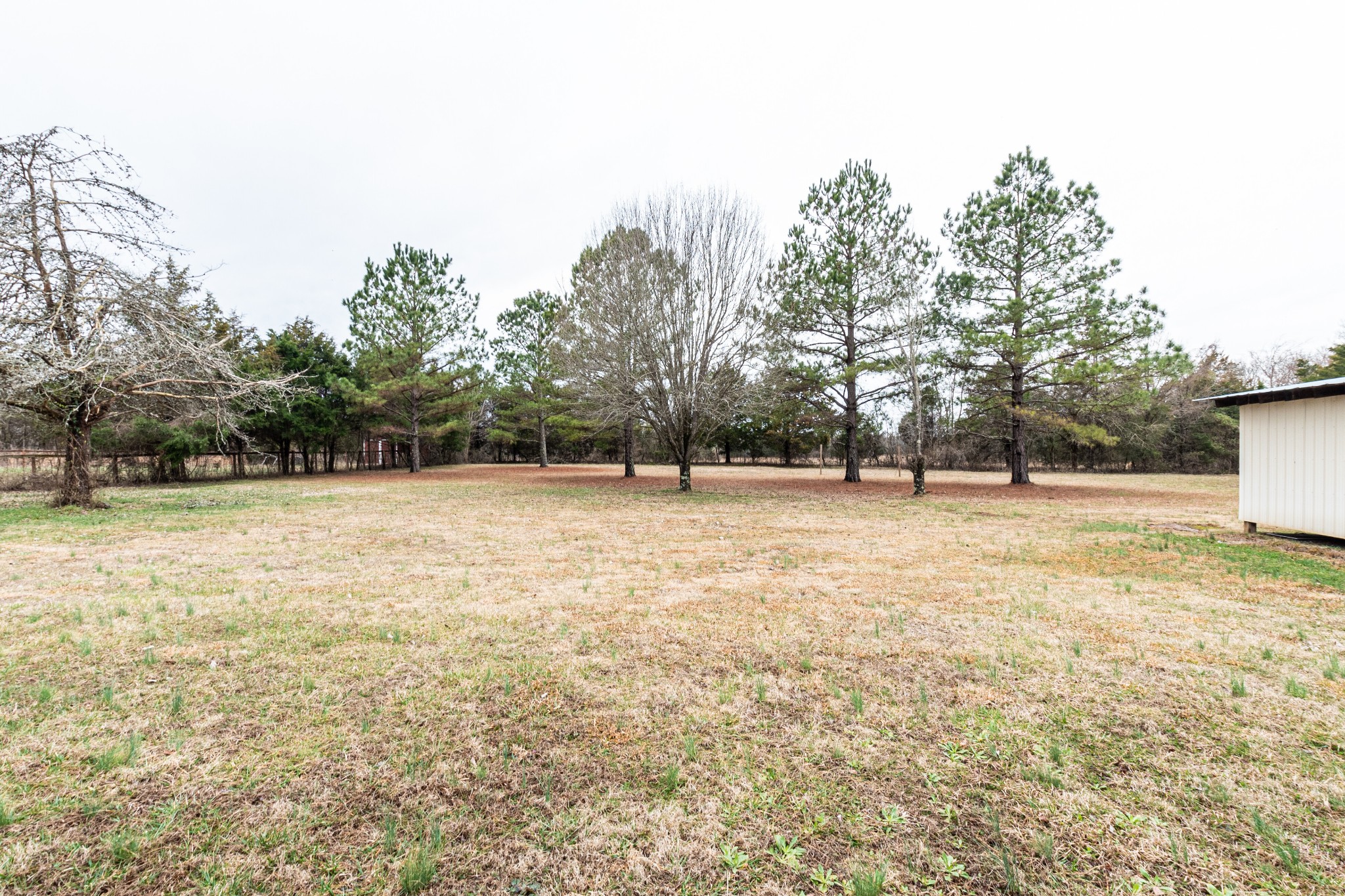 188 Zachary Road Lebanon, TN 37090 - Photo 29 of 29 a view of outdoor space with trees