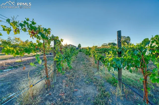 a view of a balcony with wooden floor