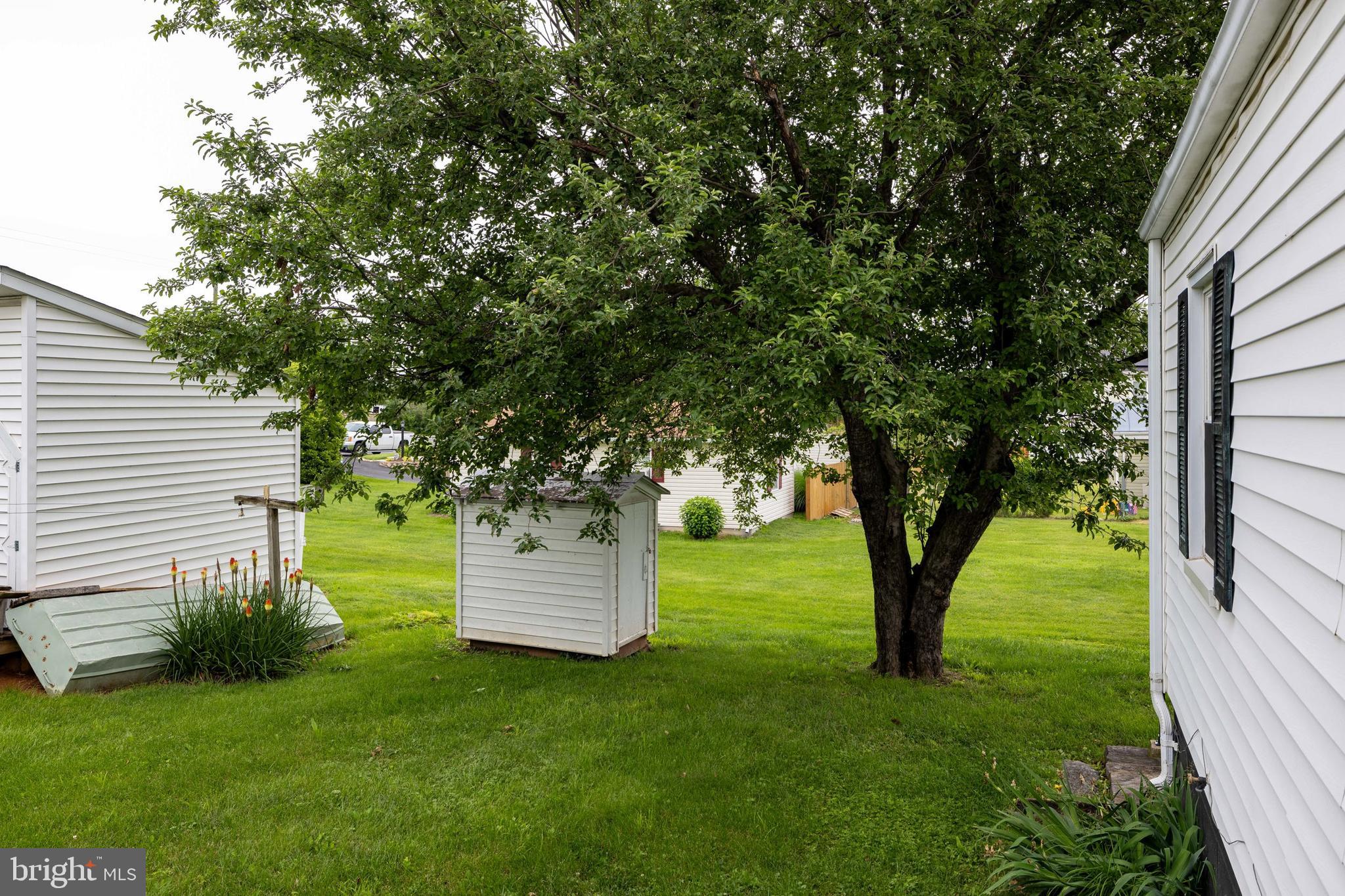 220 Mechanic Street Luray, VA 22835 - Photo 45 of 45 a view of a garden with a tree