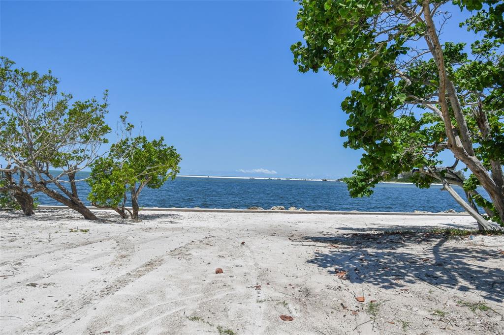 4105 North Shell Road Sarasota, FL 34242 - Photo 20 of 26 a view of a garden with plants