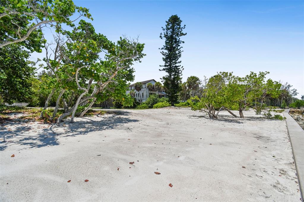 4105 North Shell Road Sarasota, FL 34242 - Photo 22 of 26 a view of a dry yard with trees